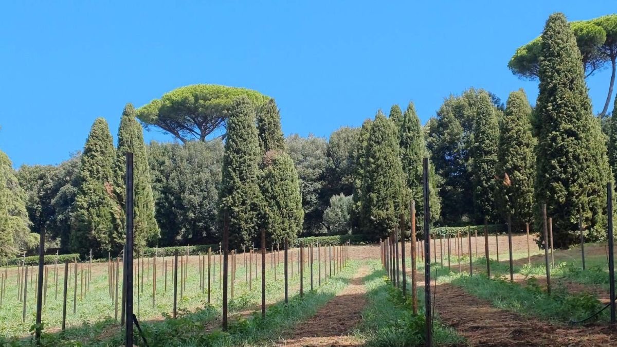 Borgo-Laudato-Si.jpg