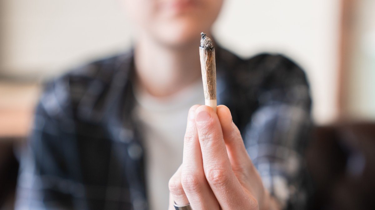 CANNABIS.jpg