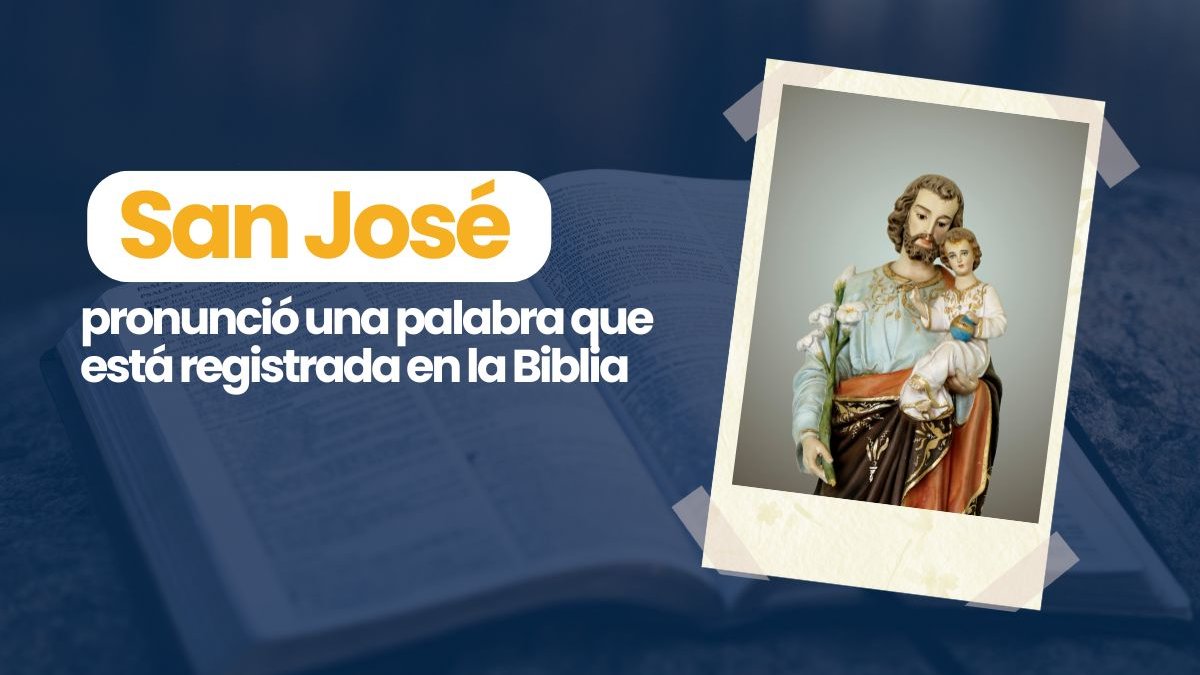Portadas-videos
