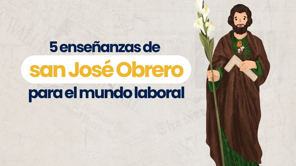 Portada videos