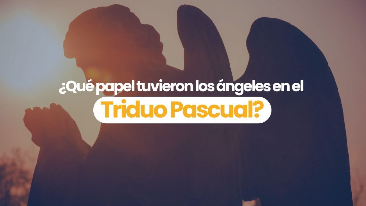 Portadas-videos