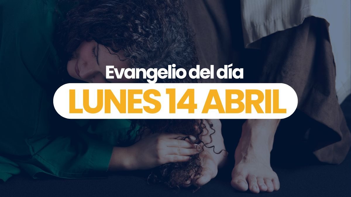 Videos-Evangelios-