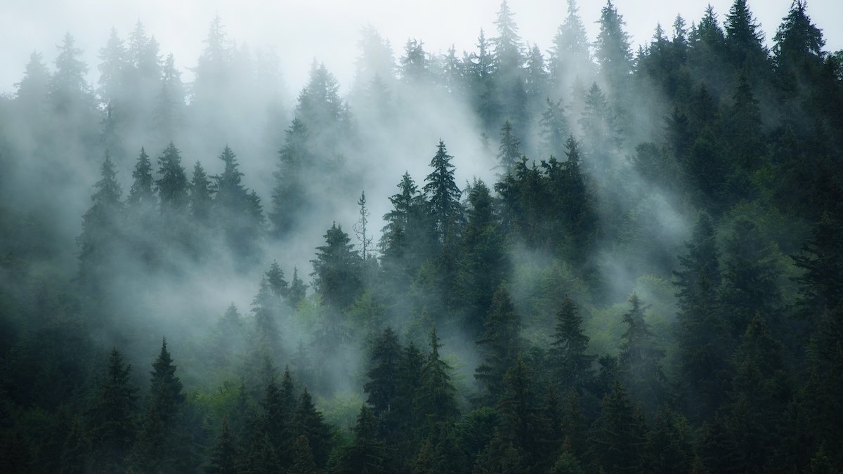 silence