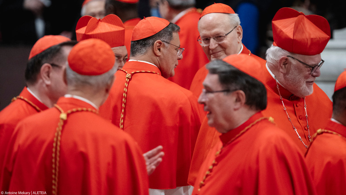 cardinals conclave