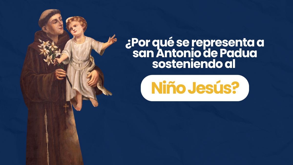 Portadas-videos-