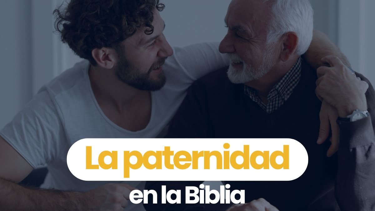 Portadas-videos-