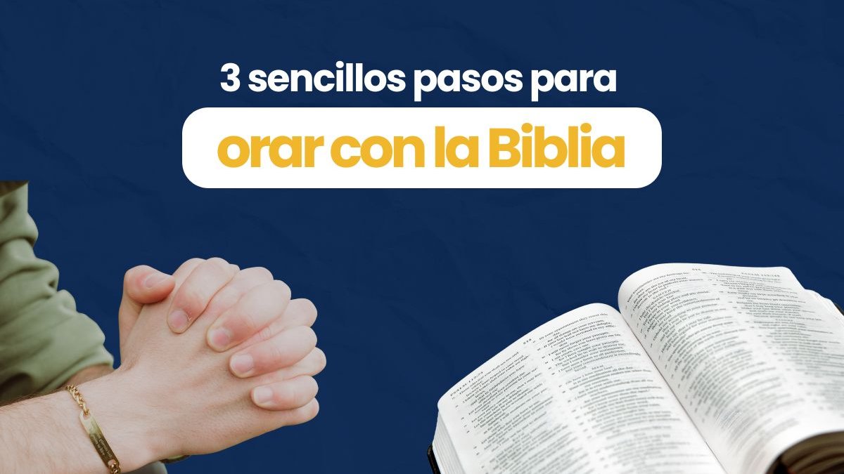 Portadas-videos-