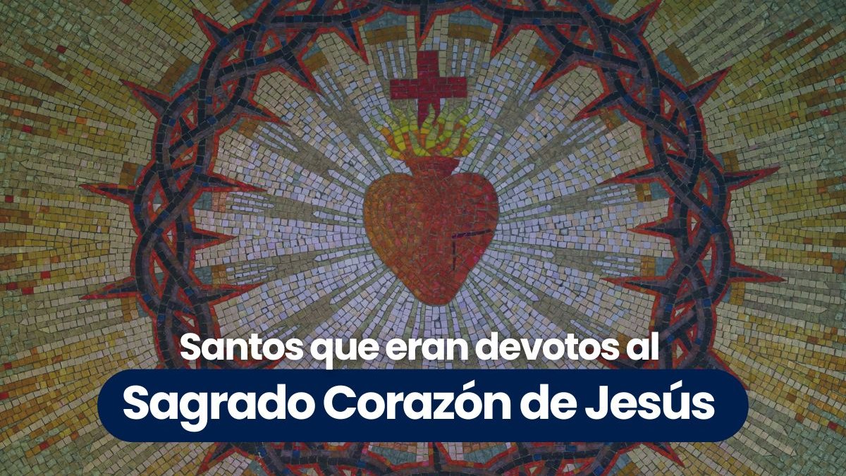 Portadas-videos-