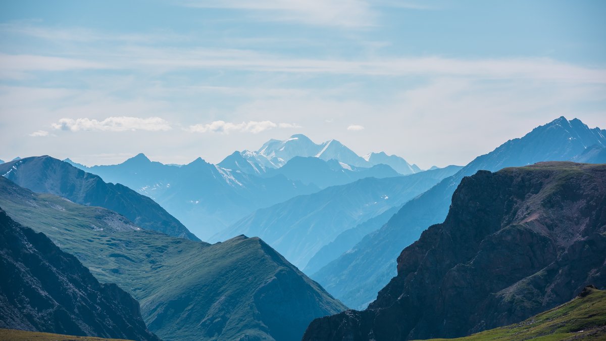 shutterstock_2488201365.jpeg