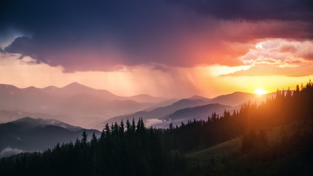 shutterstock_2499073121.jpeg