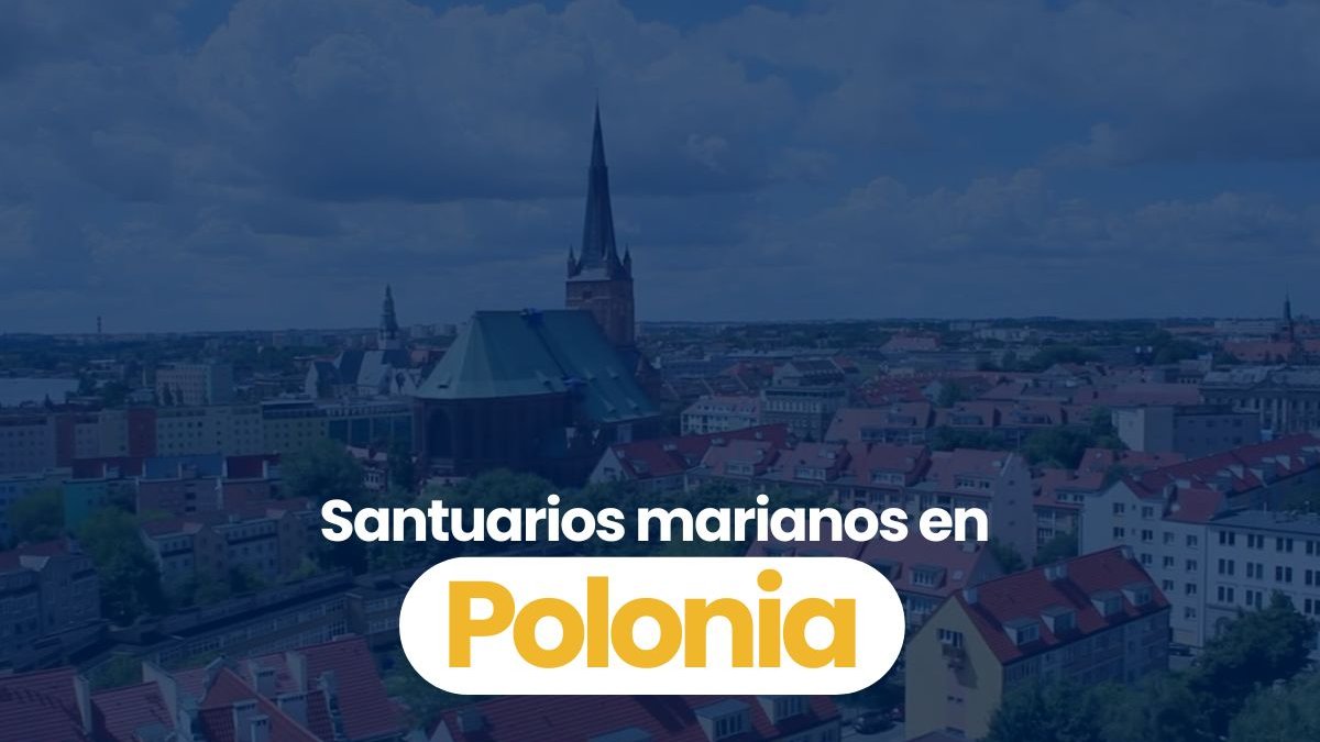 Portadas-videos-