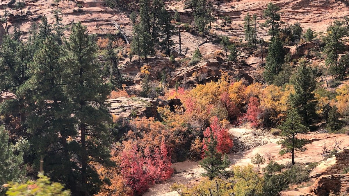 Rattlesnake-Falls.jpg