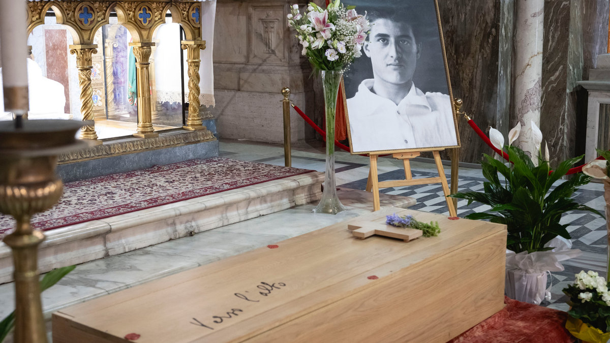 cardinal-reina-holy-mass-volunteers-youth-jubilee-blessed-pier-giorgio-frassati