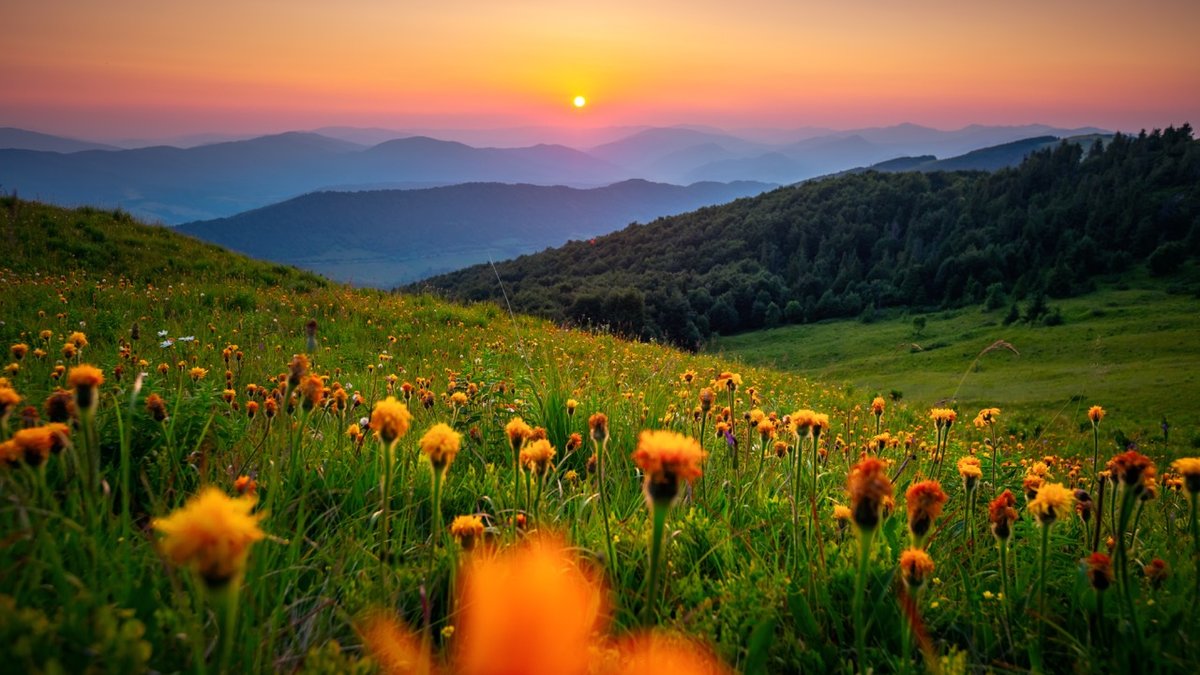 shutterstock_2479236003.jpeg