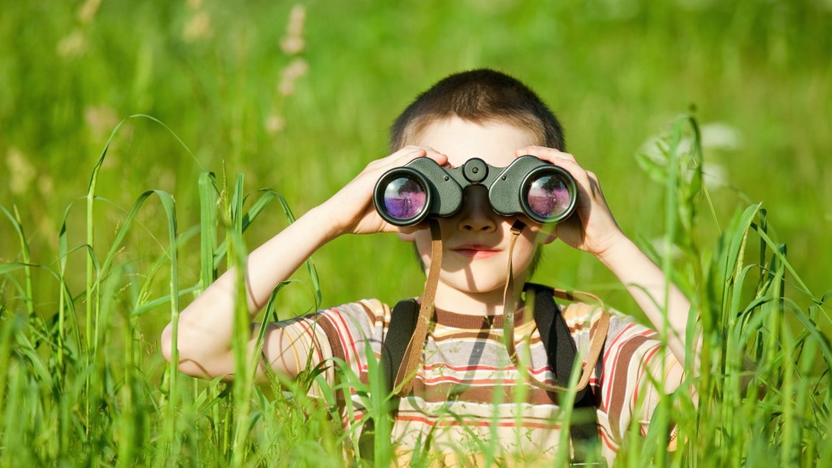 shutterstock_32910574-Duzy.jpeg