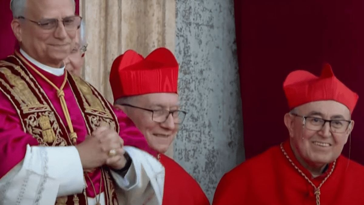 cardenal plujic
