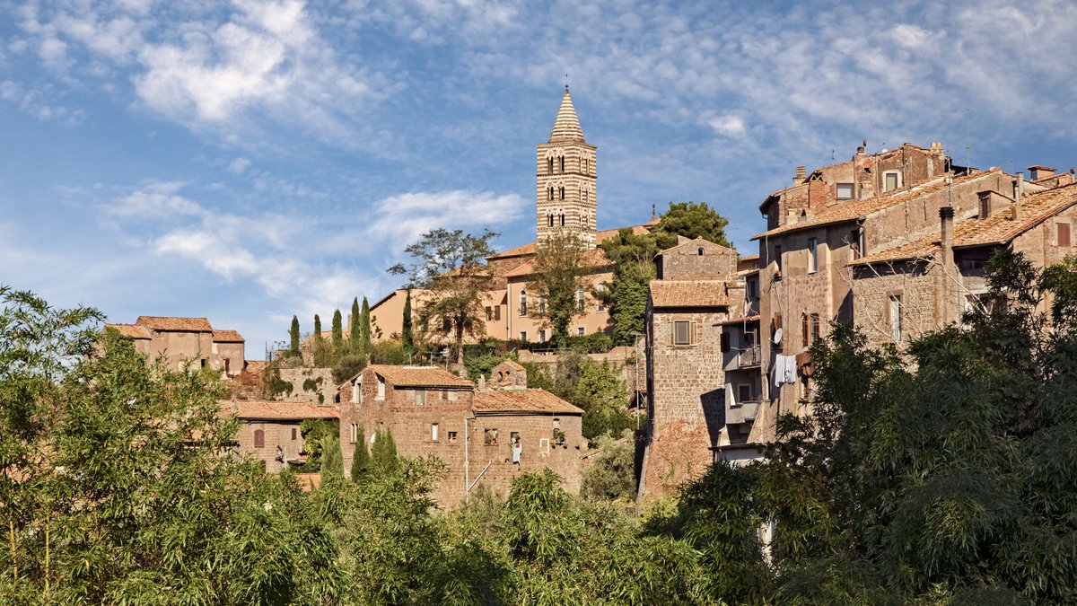 shutterstock_2260071111.jpg
