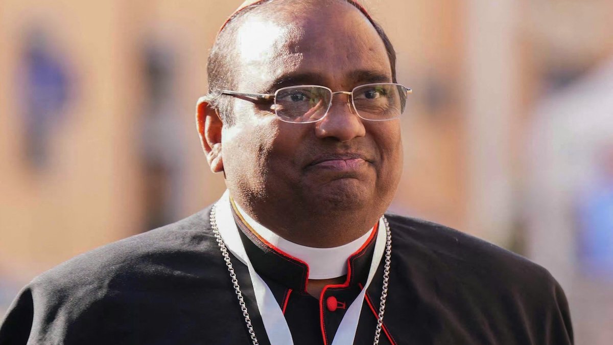 cardinal-poola.jpg