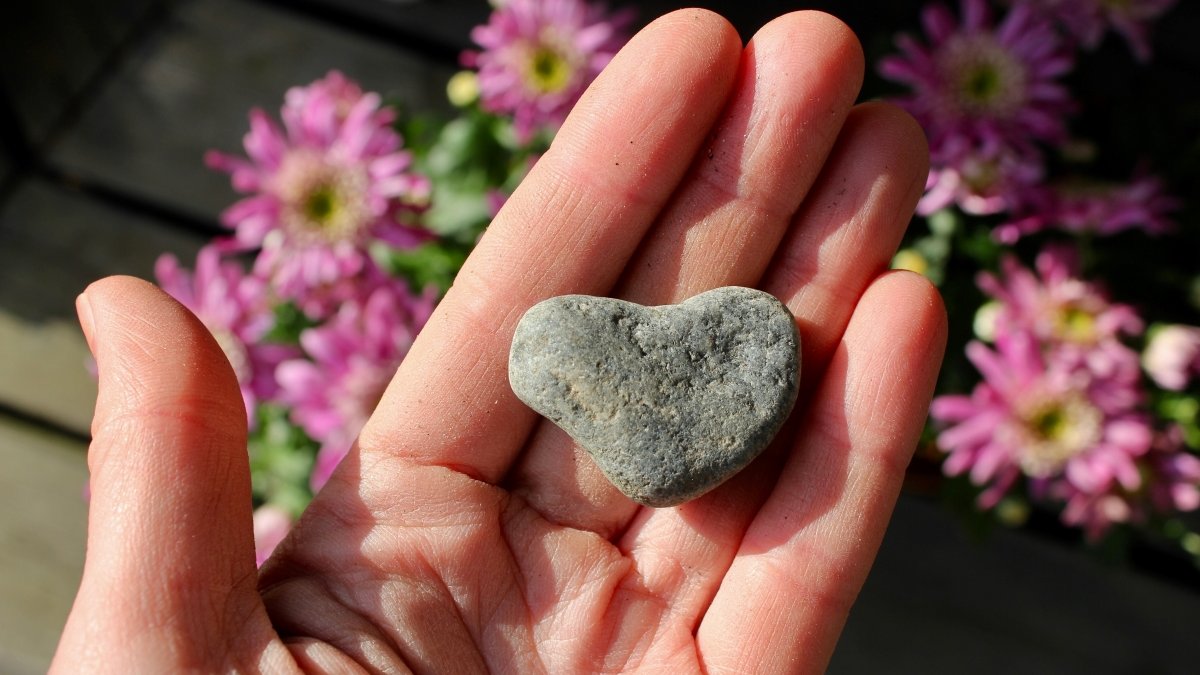 A hand with a heart-shaped stone