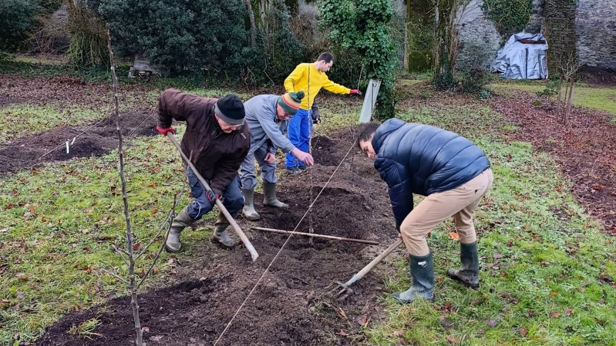 ETOILE-NOTRE-DAME-PLANTATION-ARBRES-ECOLOGIE