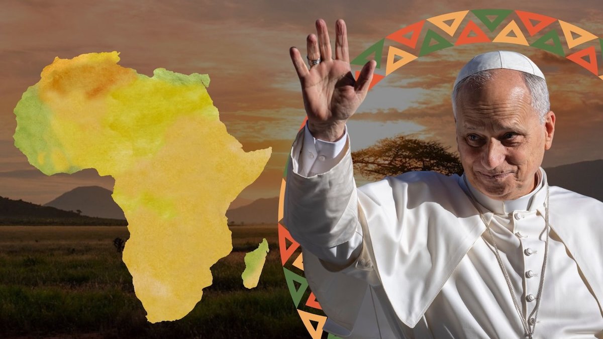 leo-africa.jpeg