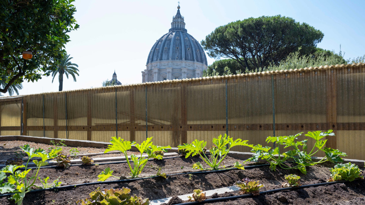 Vatican-organic-garden.jpg