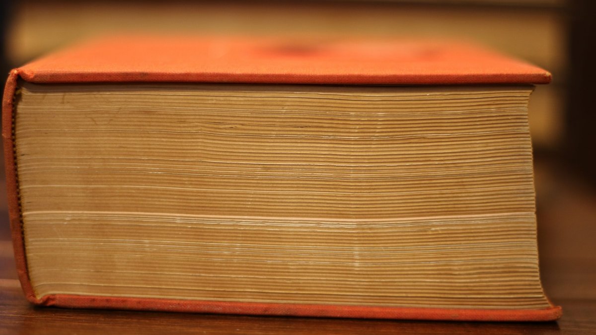 ornaw-book-3986093.jpg
