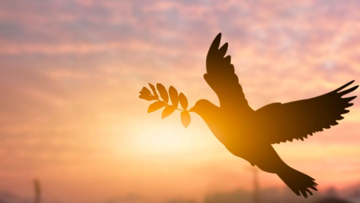 paz, mundo, Jesús, guerra, violencia