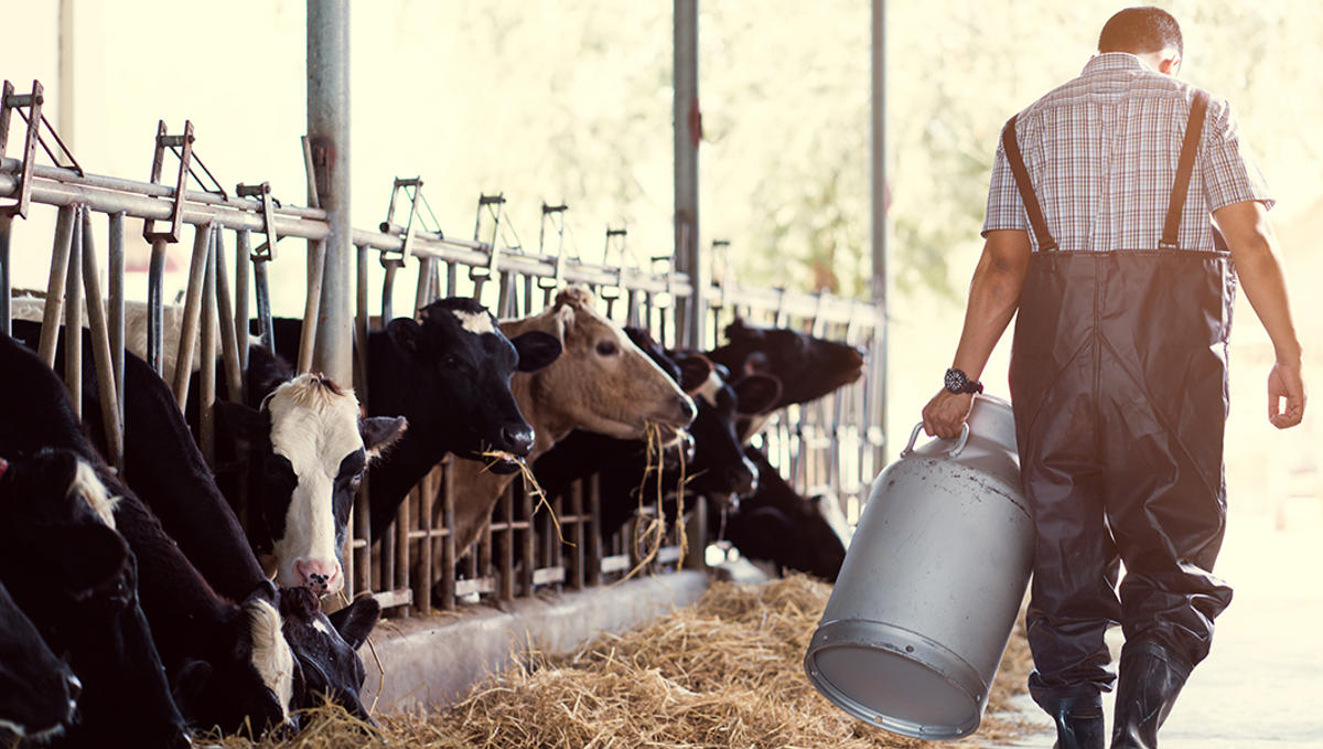 FARMER