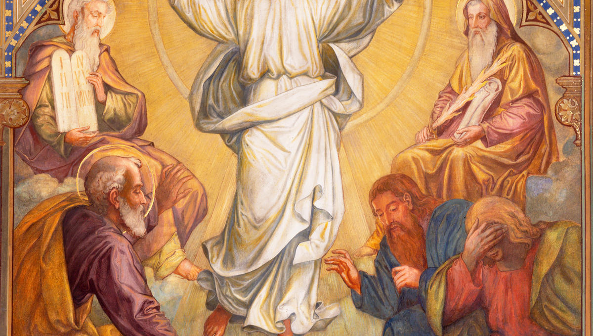 TRANSFIGURATION