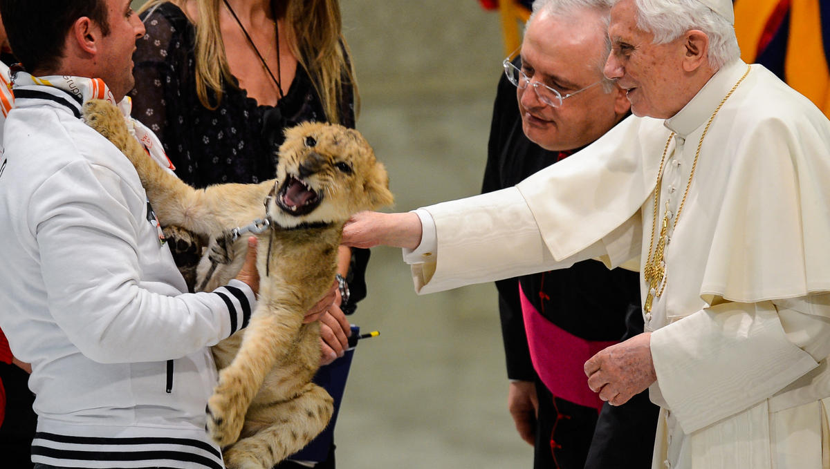 Pope-Benedict-XVI-caresses-a-lion-AFP