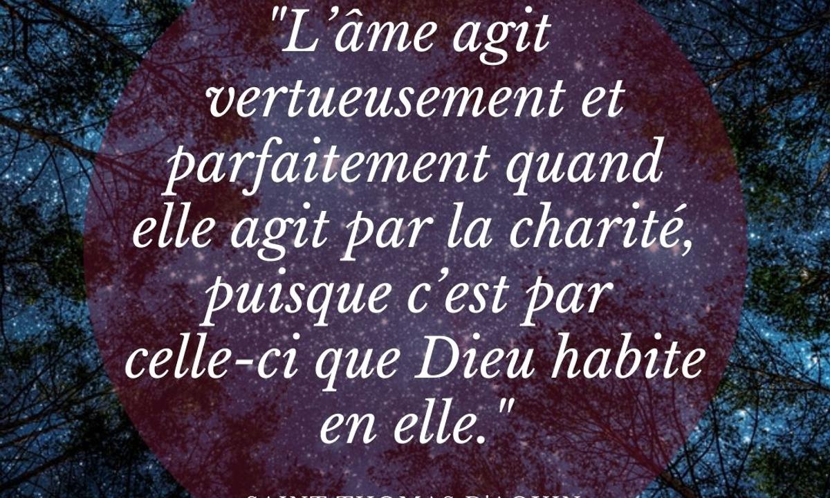 Les plus belles citations des saints sur la charité