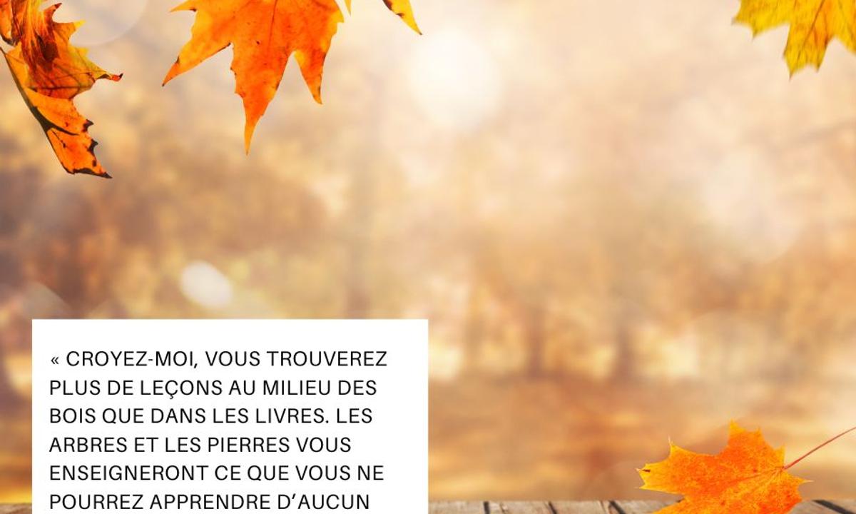 Les plus belles citations des saints sur l’automne