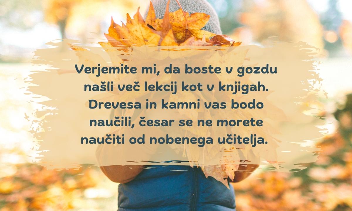 Misli svetnikov o naravi