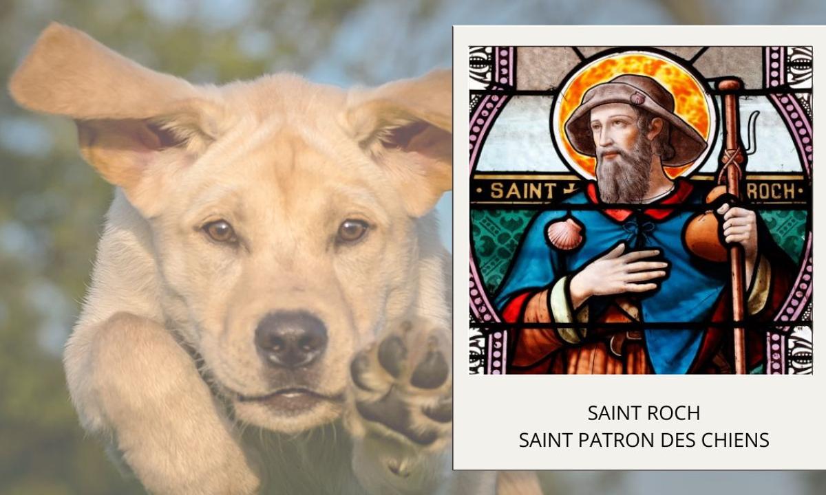 Les saints patrons des animaux