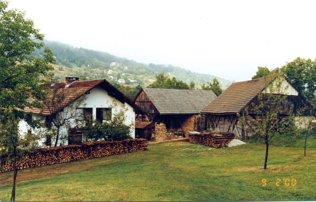 Ivan Hocevar