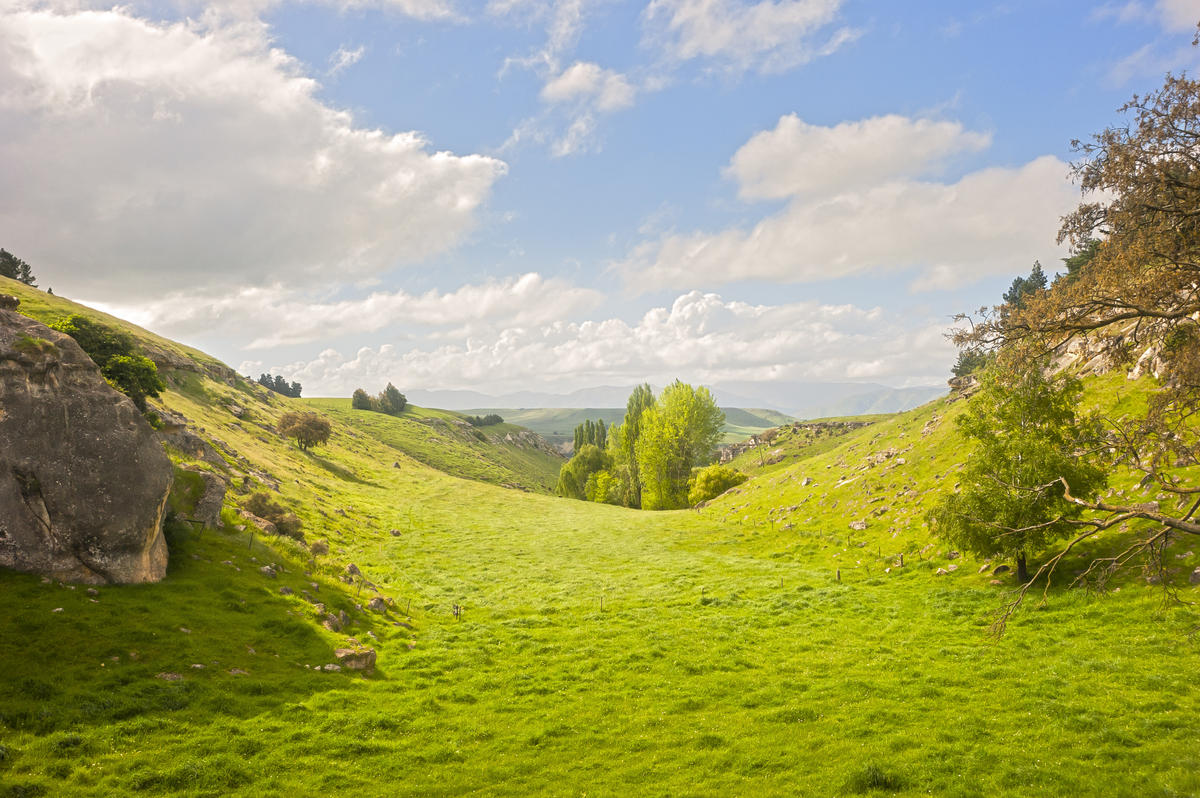 Little,Valley