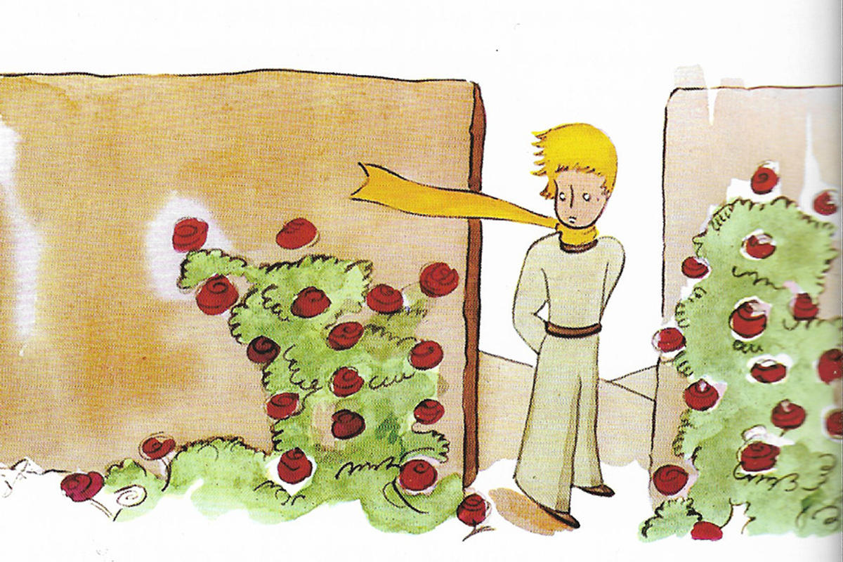 LE PETIT PRINCE