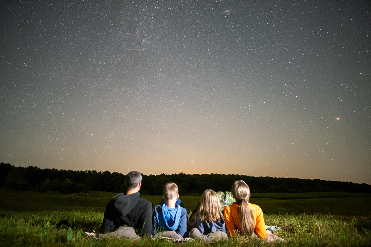 stars