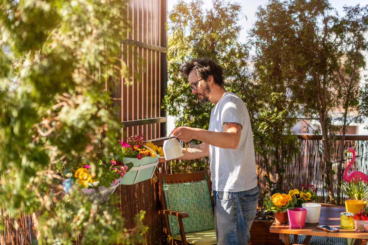 urban garden