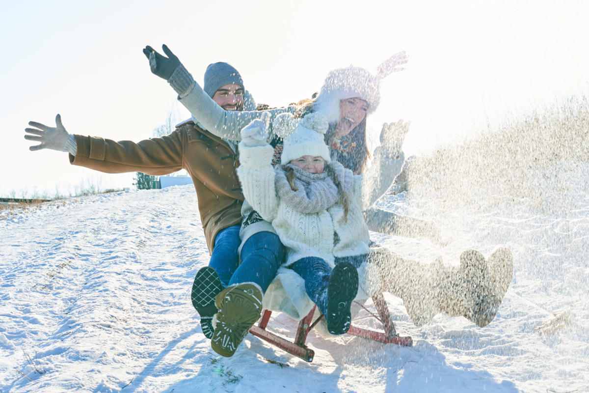 Family driving sled