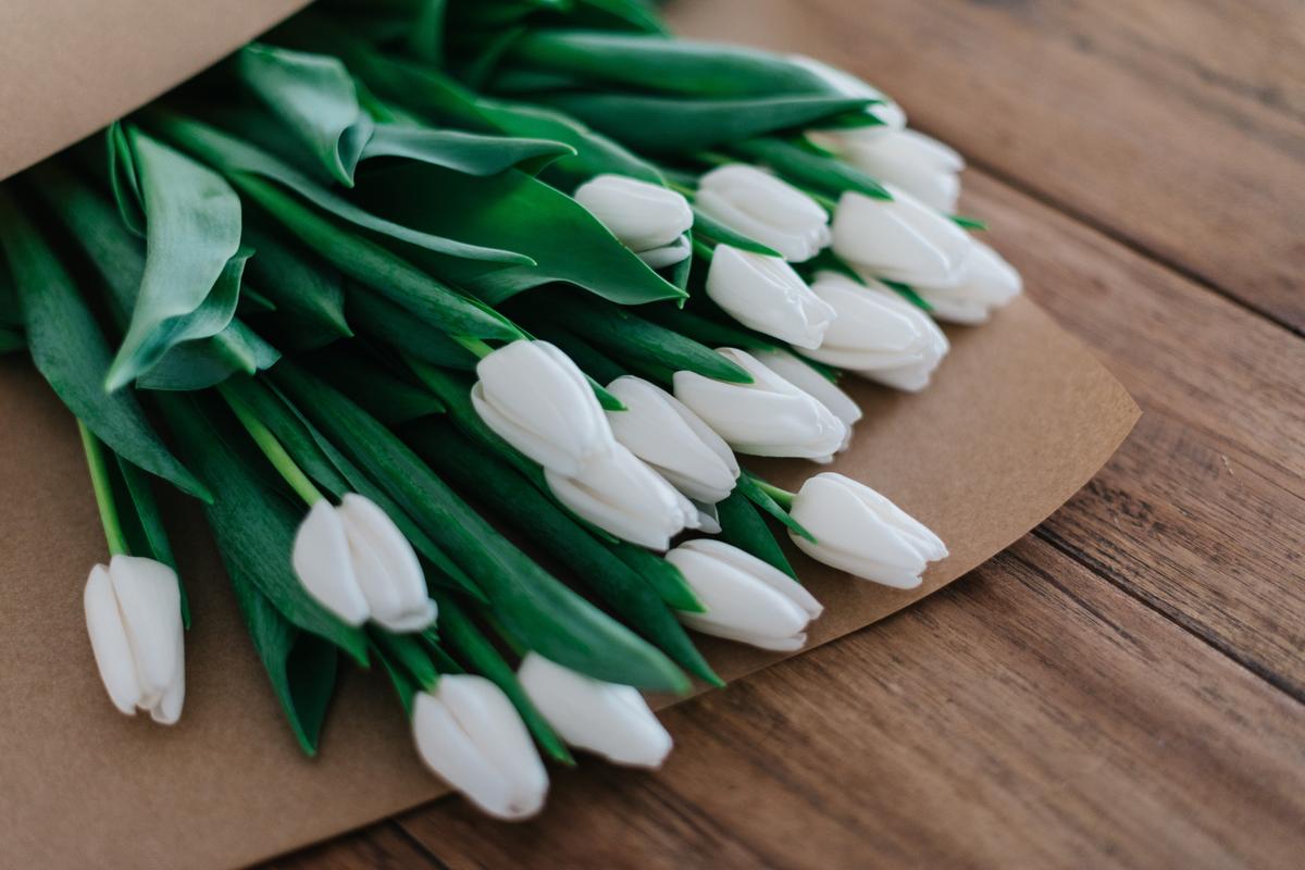 tulipas