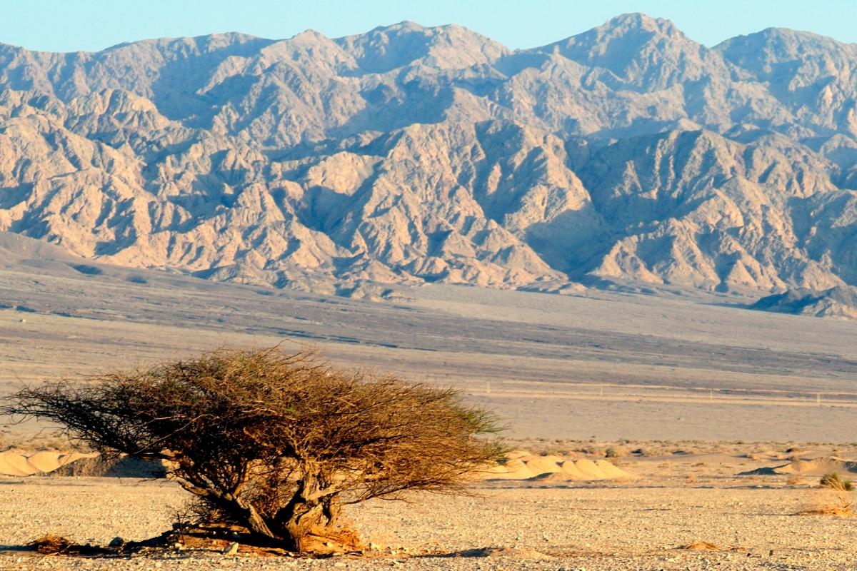 edom-desert-1684398454