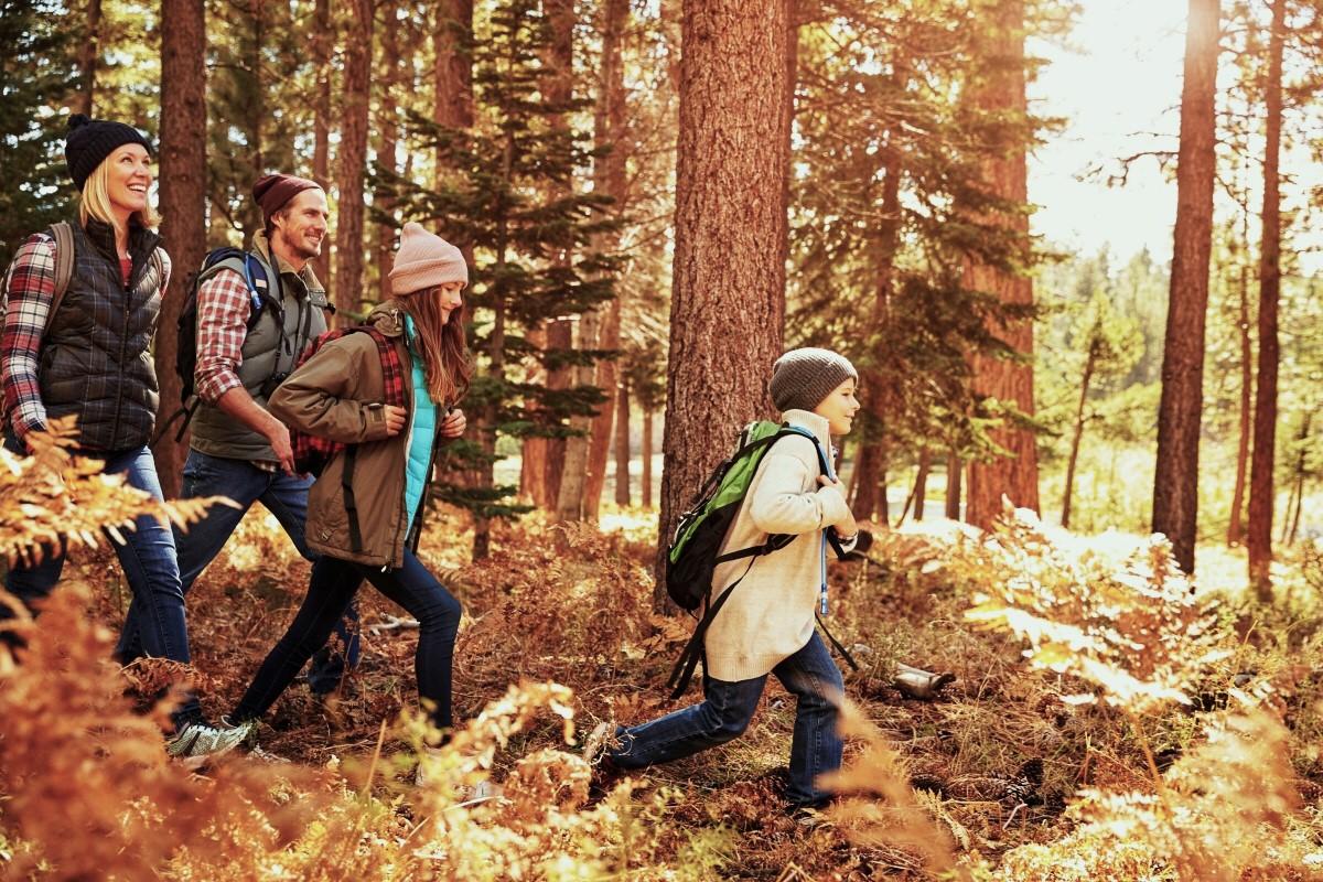 Family hiking in forest in autumn