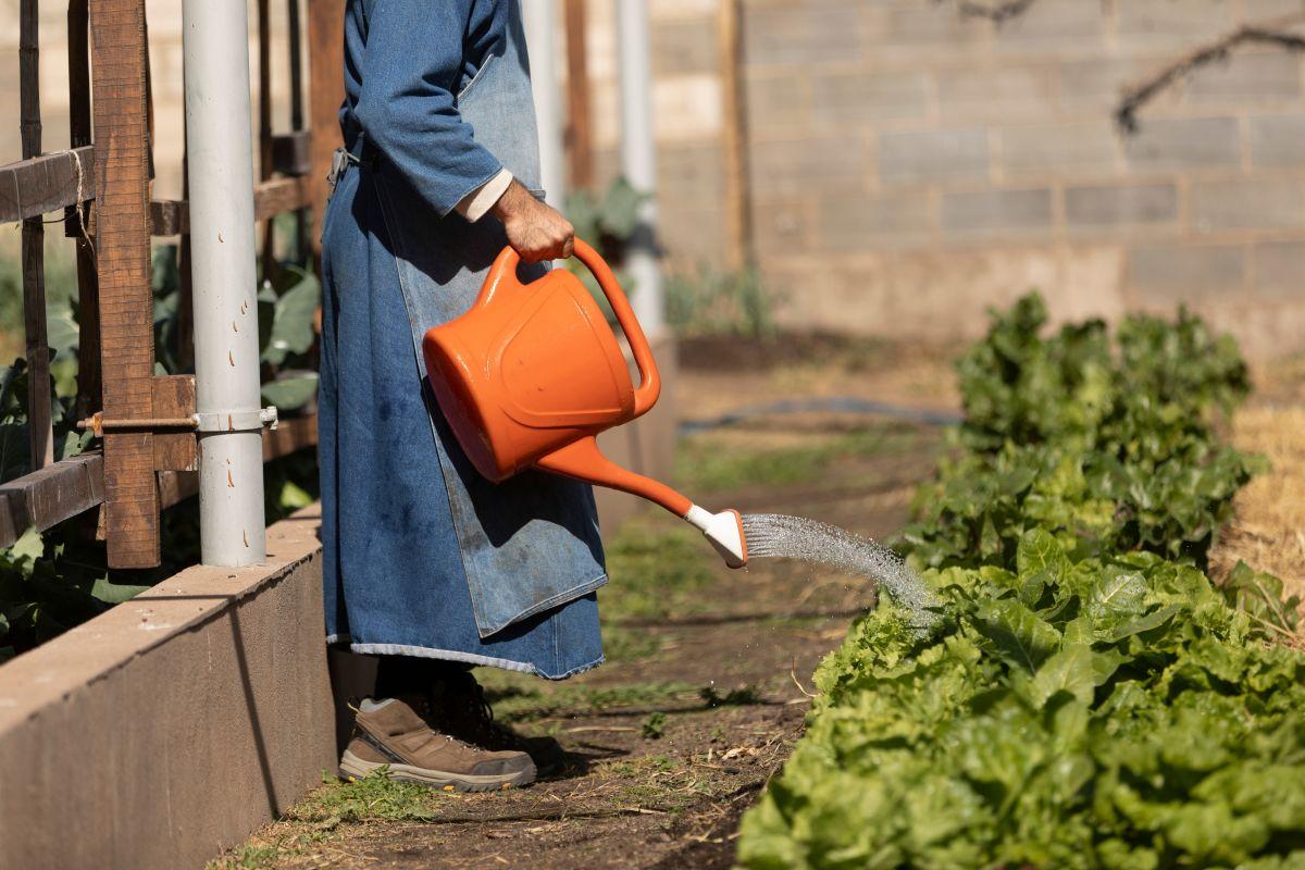 gardening