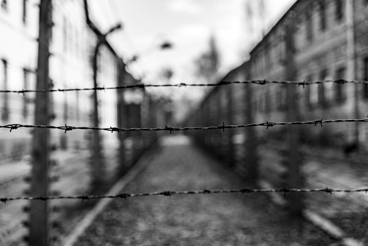 Barbed wire in Auschwitz concentration camp