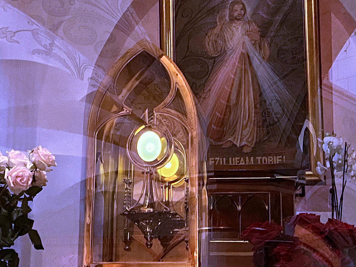 eucharist miracle