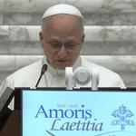 Asamblea sobre la familia: los jóvenes siguen anhelando amor y fidelidad