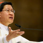 Cardinal reads Pope Leo’s homily on family (full text)