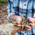 3 Fun creative ways to pray the Rosary with kids